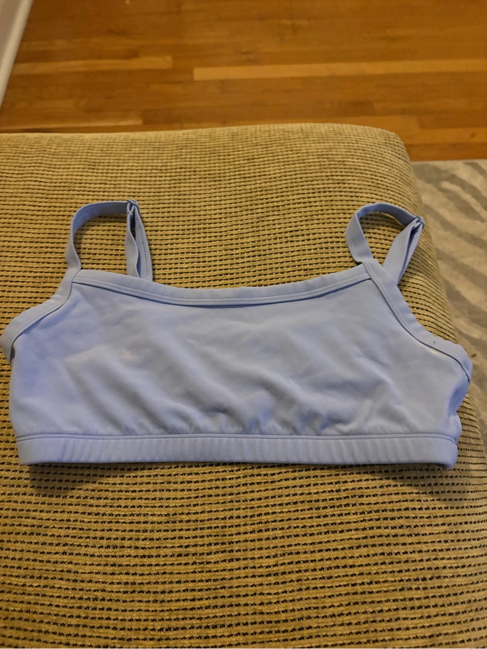 Aritzia Blue Women's Sports Bra